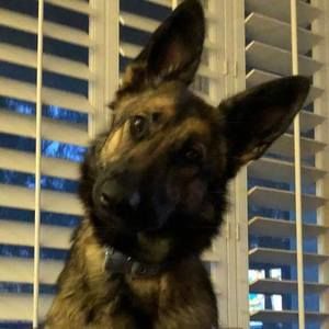 Meet your Posher, Tiffany